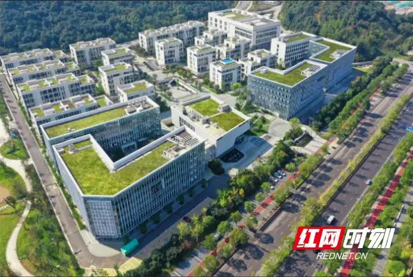构建全链条服务体系 湘江新区生物医药与大健康产业链总产值达865亿元