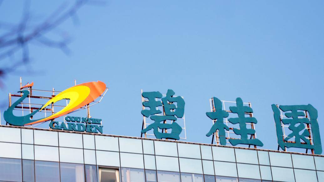 碧桂园：杨惠妍、莫斌等年薪降至12万元，近两年高管薪资下降86%