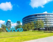“销冠”vivo，内外遇劫
