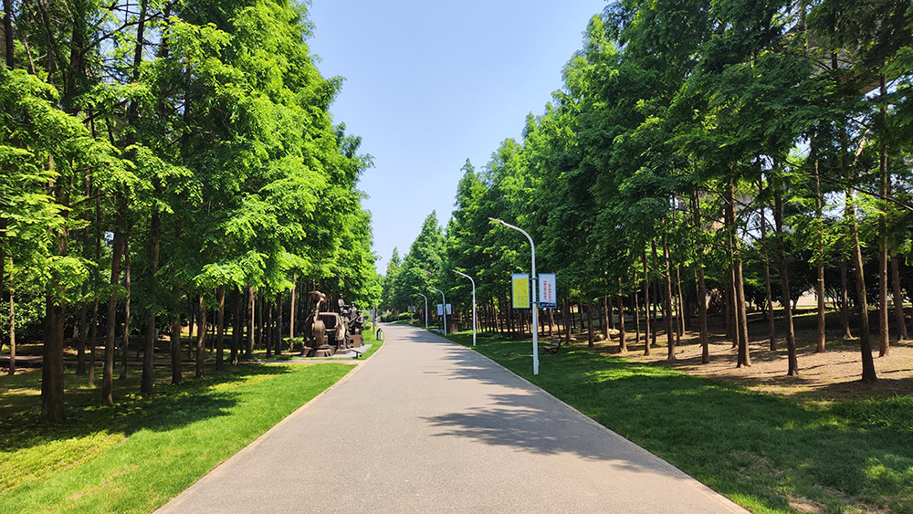 青山如今真“青山” 一个沿江重工业基地的“换颜”之路